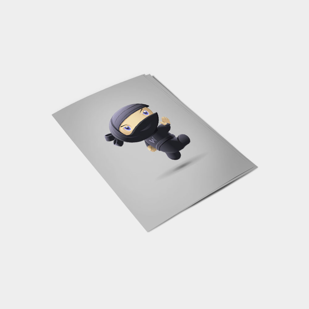 Flying Ninja - Gambar 2